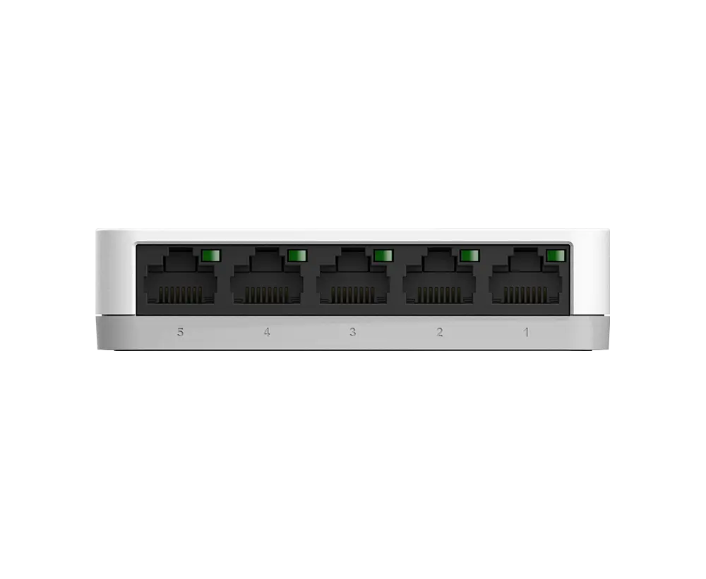 DGS1005A4.webp
