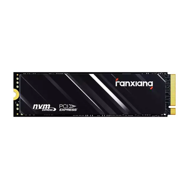 Fanxiang S710 500 Go